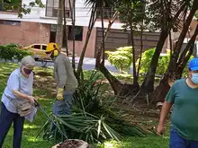 Embellecimiento, recuperación de espacios  verdes y nuevos jardines para Cali