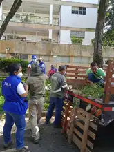 Embellecimiento, recuperación de espacios  verdes y nuevos jardines para Cali