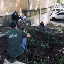 Embellecimiento, recuperación de espacios  verdes y nuevos jardines para Cali
