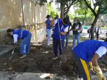 Embellecimiento, recuperación de espacios  verdes y nuevos jardines para Cali