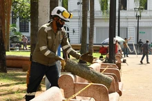 Dagma sigue trabajos para recuperar el verde de la Plaza de Cayzedo