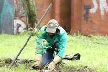 Movilidad y Dagma realizaron ‘Plantatón’ para conmemorar el ‘Día Internacional del Aire Limpio’