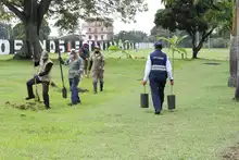Movilidad y Dagma realizaron ‘Plantatón’ para conmemorar el ‘Día Internacional del Aire Limpio’