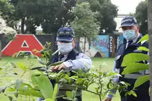 Movilidad y Dagma realizaron ‘Plantatón’ para conmemorar el ‘Día Internacional del Aire Limpio’