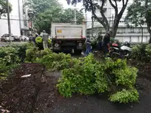 Inició recuperación integral del parque Versalles