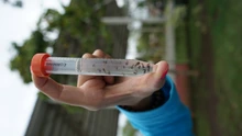 Campaña para controlar el dengue llega a comunas del oriente caleño