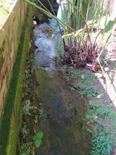 Dagma inicia proceso sancionatorio por vertimiento ilegal en cuerpo de agua de la comuna 22