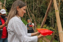 El turismo caleño se impulsará con bosques mágicos y avistamiento de aves