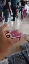 Taller de Huertas Urbanas para los niños de la Comuna 14 