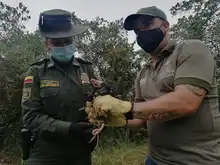 Liberaciones de fauna silvestre decomisada por tráfico ilegal 