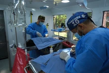 Más de 3000 cupos para esterilización de mascotas en la comuna 21