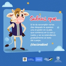 En Cali se buscan 236.720 niños para refuerzo de sarampión-rubéola
