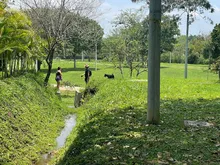Cali respira aire renovado con el nuevo pulmón verde para la ciudad