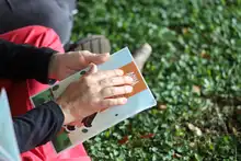 Conozca la ingeniosa forma con la que la Administración Distrital realiza el avistamiento de aves para población con discapacidad