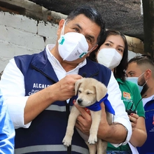 Ovación a Administración Distrital por atención a los animales de compañía de la población en situación de calle 