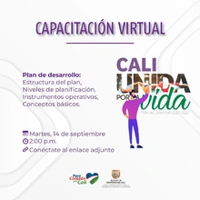 Capacitación virtual