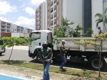 Ciudad Pacífica cuenta desde hoy con un nuevo pulmón verde