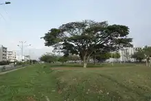 Ciudad Pacífica cuenta desde hoy con un nuevo pulmón verde