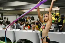 Comité Articulador garantizará la realización exitosa del evento deportivo juvenil más importante del continente