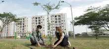 Ciudad pacifíca - zonas verdes