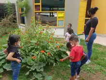 Primera Infancia se prepara con encuentros presenciales