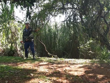 Intervención al dique de protección del rio Meléndez  