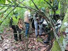 9 zarigüeyas y una iguana ya gozan de libertad, en su hábitat