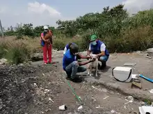   Atender a las familias interespecie de habitantes de la calle es un compromiso con la dignidad