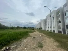 Cali reverdece con el nuevo pulmón verde en el nororiente 