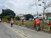 Articulan acciones para el control a especie invasora Leucaena