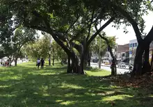 Gobierno caleño recuperará corredor verde de la autopista Suroriental