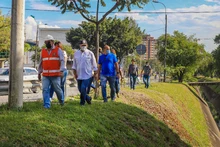 Intervención a los árboles de la autopista suroriental de Cali