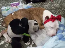 Un milagro que nos enseña a ser más humanos