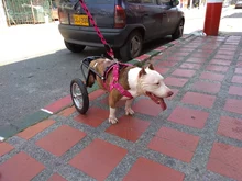 Un milagro que nos enseña a ser más humanos