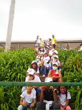 EMRU lidera caminatas ecológicas dirigidas a jóvenes que viven en las zonas que tendrán renovación urbana
