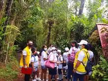 EMRU lidera caminatas ecológicas dirigidas a jóvenes que viven en las zonas que tendrán renovación urbana