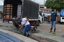 Gran jornada de embellecimiento y recuperación en el centro de Cali
