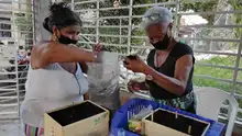 Liderados por la Emru, avanzan los talleres de huertas urbanas en la comuna 14  