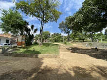 San Antonio limpio y bonito, gracias a una jornada de embellecimiento