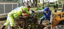 Alcaldía declaró el ‘Parque de la Música’ como una zona ‘Te Queremos Cali’