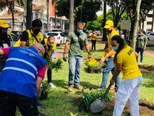 Recuperación ambiental y paisajística en el barrio Versalles