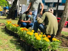 Recuperación ambiental y paisajística en el barrio Versalles