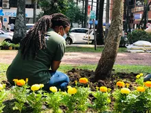 Recuperación ambiental y paisajística en el barrio Versalles