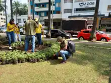 Recuperación ambiental y paisajística en el barrio Versalles