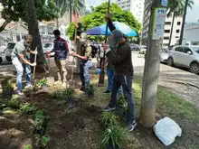 Recuperación ambiental y paisajística en el barrio Versalles