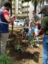 Recuperación ambiental y paisajística en el barrio Versalles