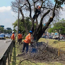 Alcaldía inicia renovación de la autopista Suroriental
