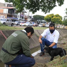 Alcaldía inicia renovación de la autopista Suroriental