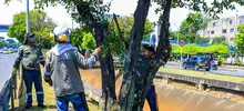 Alcaldía inicia renovación de la autopista Suroriental