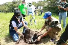 Con empresas madereras se sembró vida en el sur de Cali